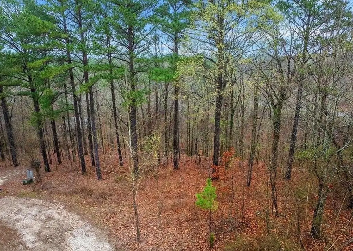 235 Hochapine Trail, Broken Bow, OK 74728 - #1