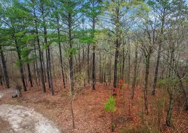 235 Hochapine Trail, Broken Bow, OK 74728