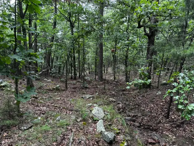 Boggy Mountain Road, Red Oak, OK 74563 - #3