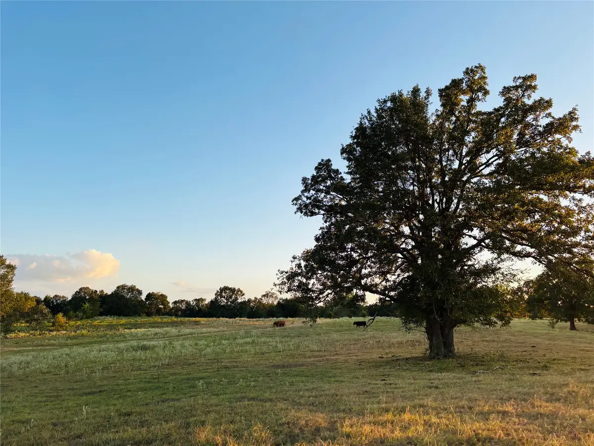 166 N 4084 Road, Soper, OK 74759 - #1