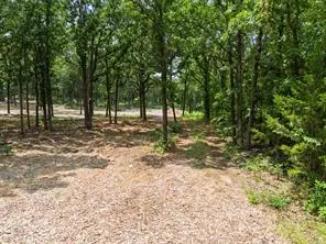 20910 Black Jack Trail, Kellyville, OK 74039 - #1