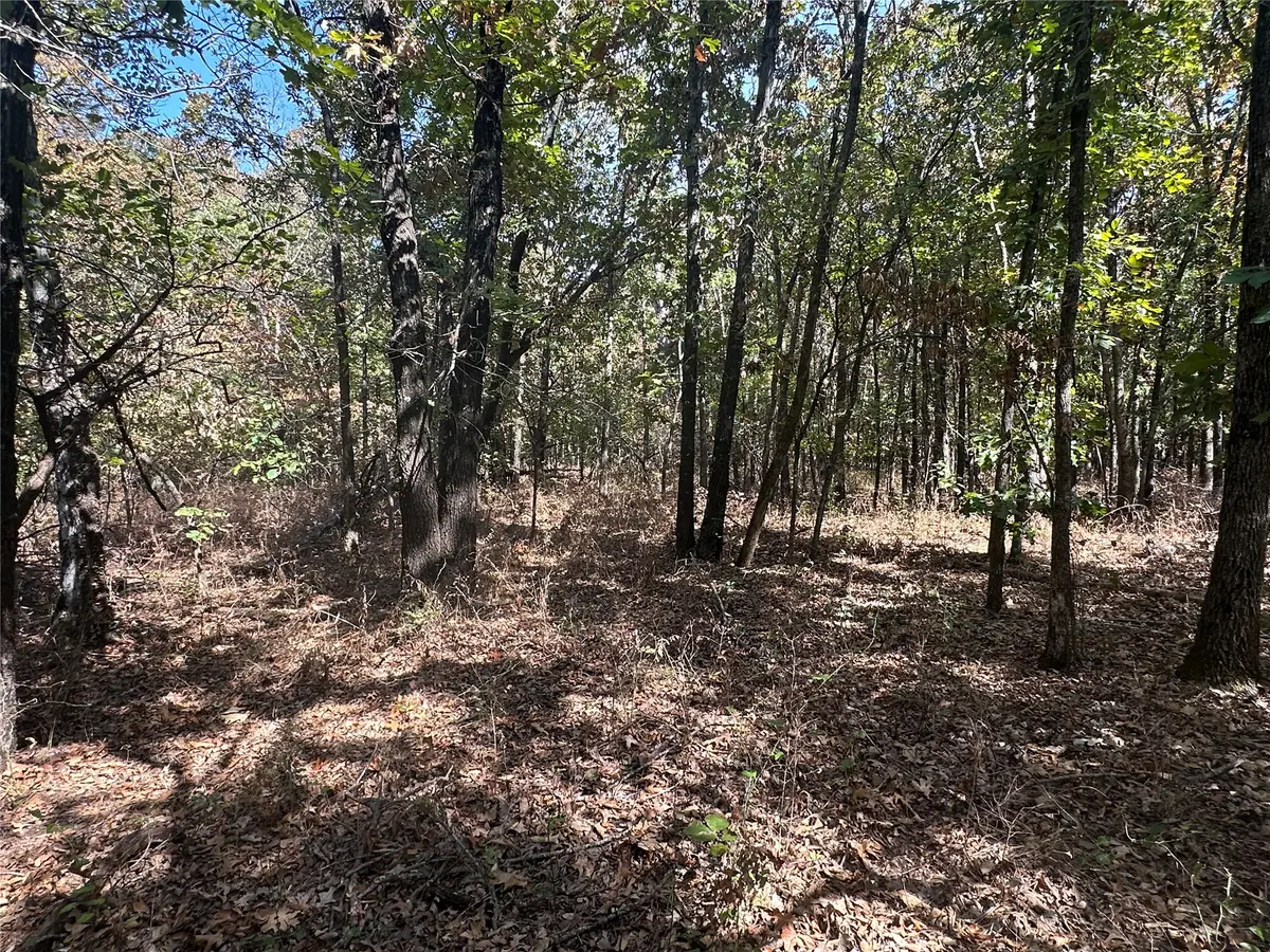 4300 Road, Big Cabin, OK 74332 - #1