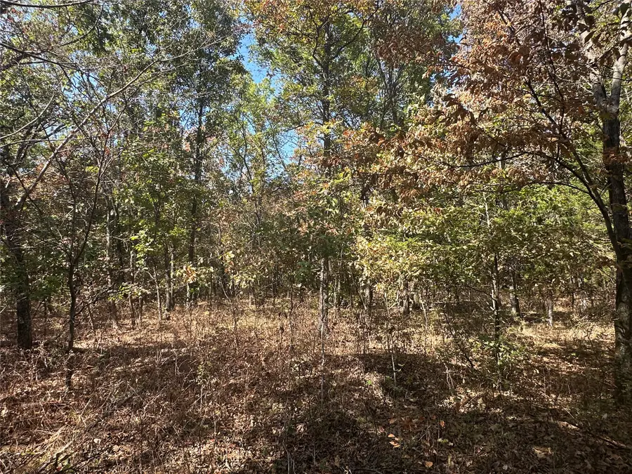 4300 Road, Big Cabin, OK 74332 - #2