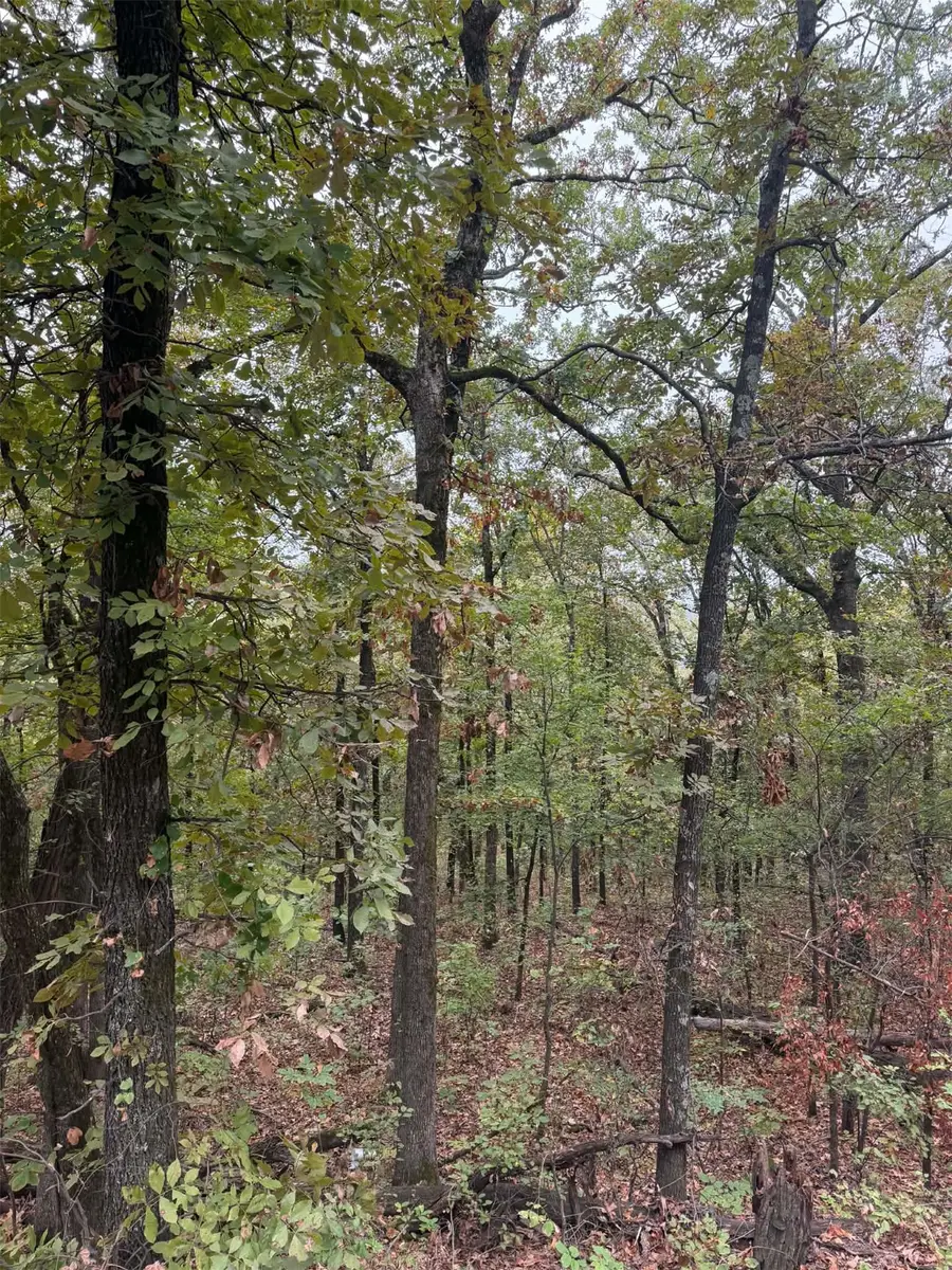 000 Big Rock Road, Park Hill, OK 74451 - #2