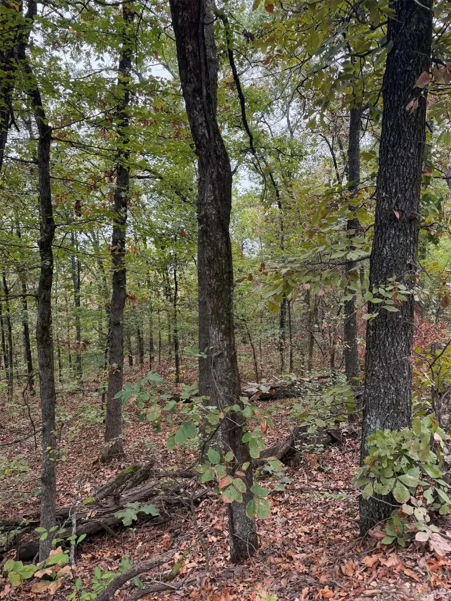 000 Big Rock Road, Park Hill, OK 74451 - #3