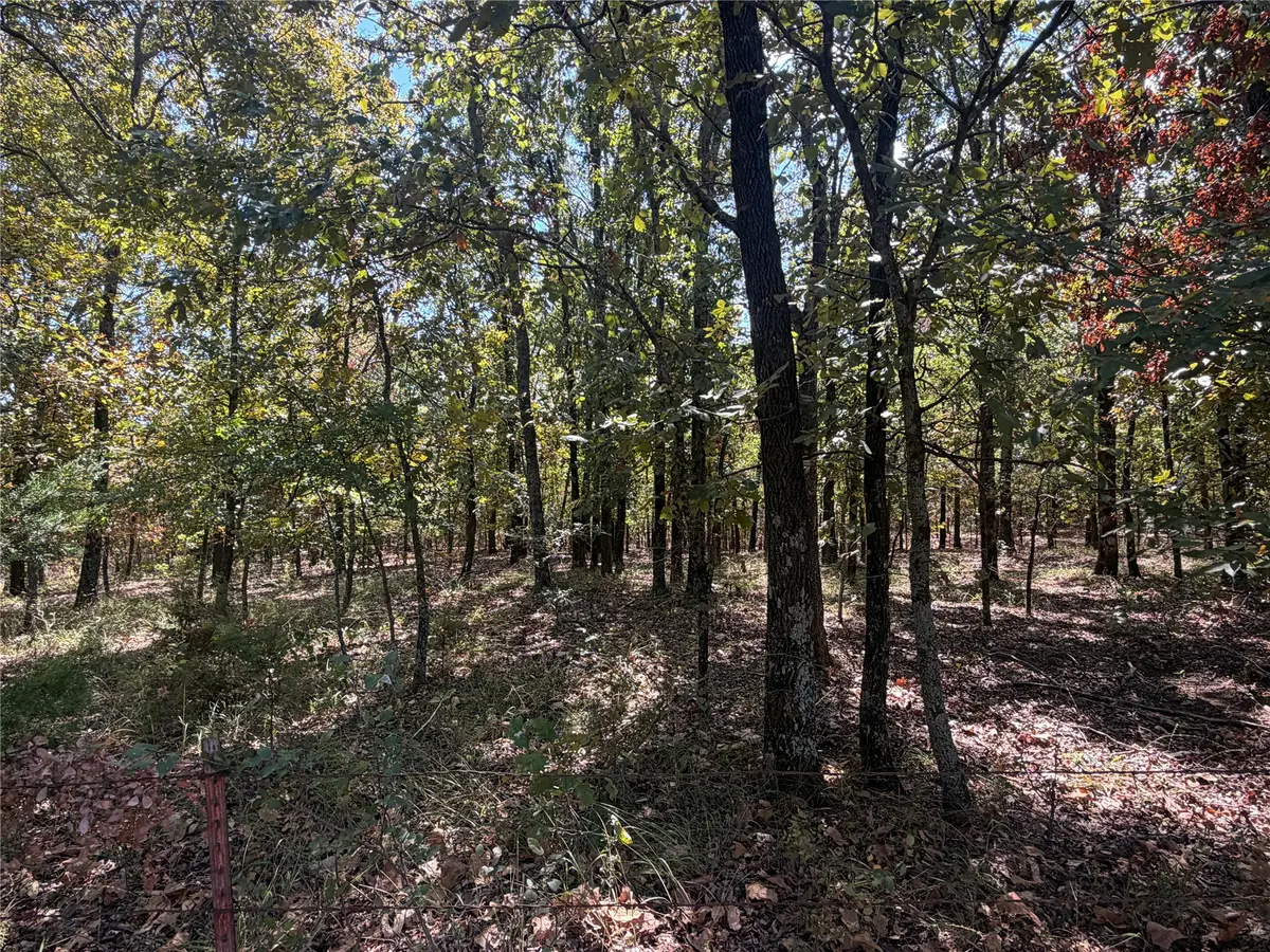 Davis Road, Lane, OK 74555 - #1