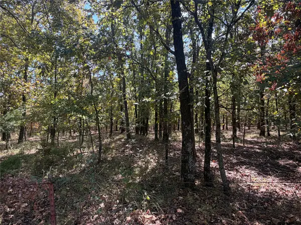 Davis Road, Lane, OK 74555