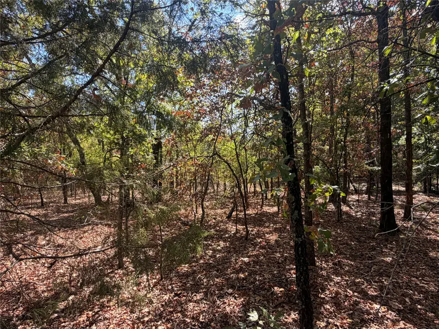 Davis Road, Lane, OK 74555 - #2