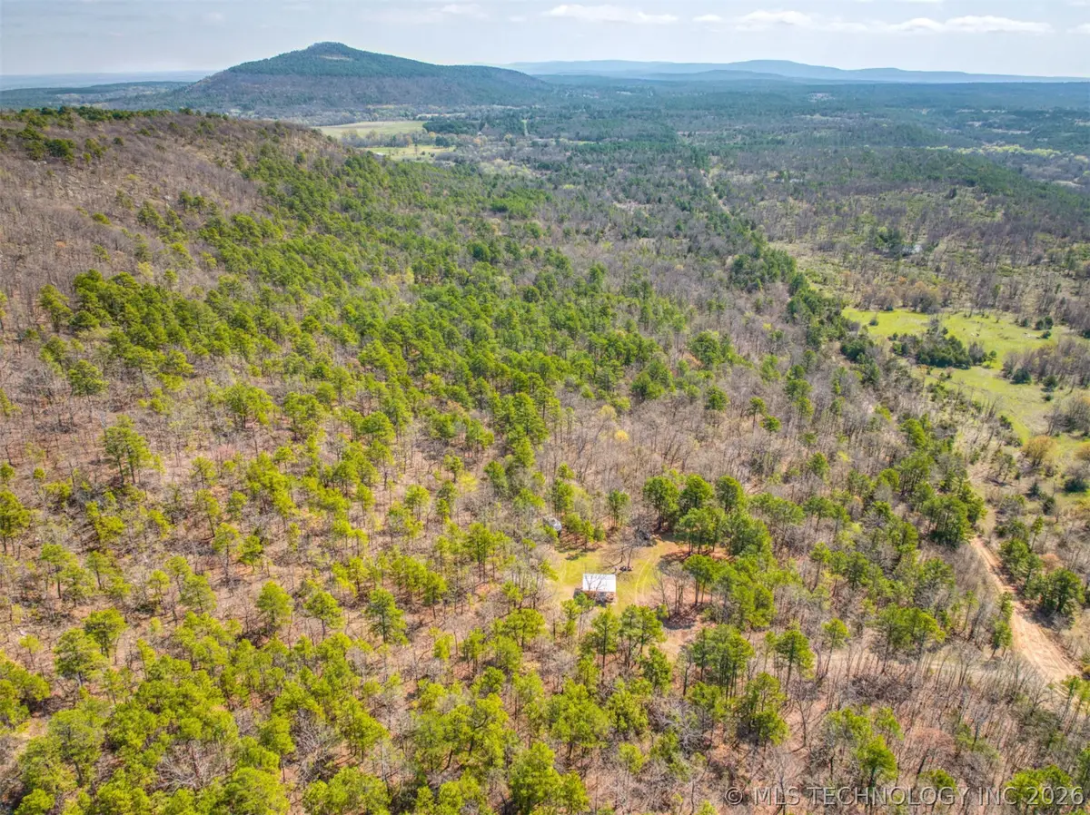 31541 W County Road 1350, Kinta, OK 74552 - #1