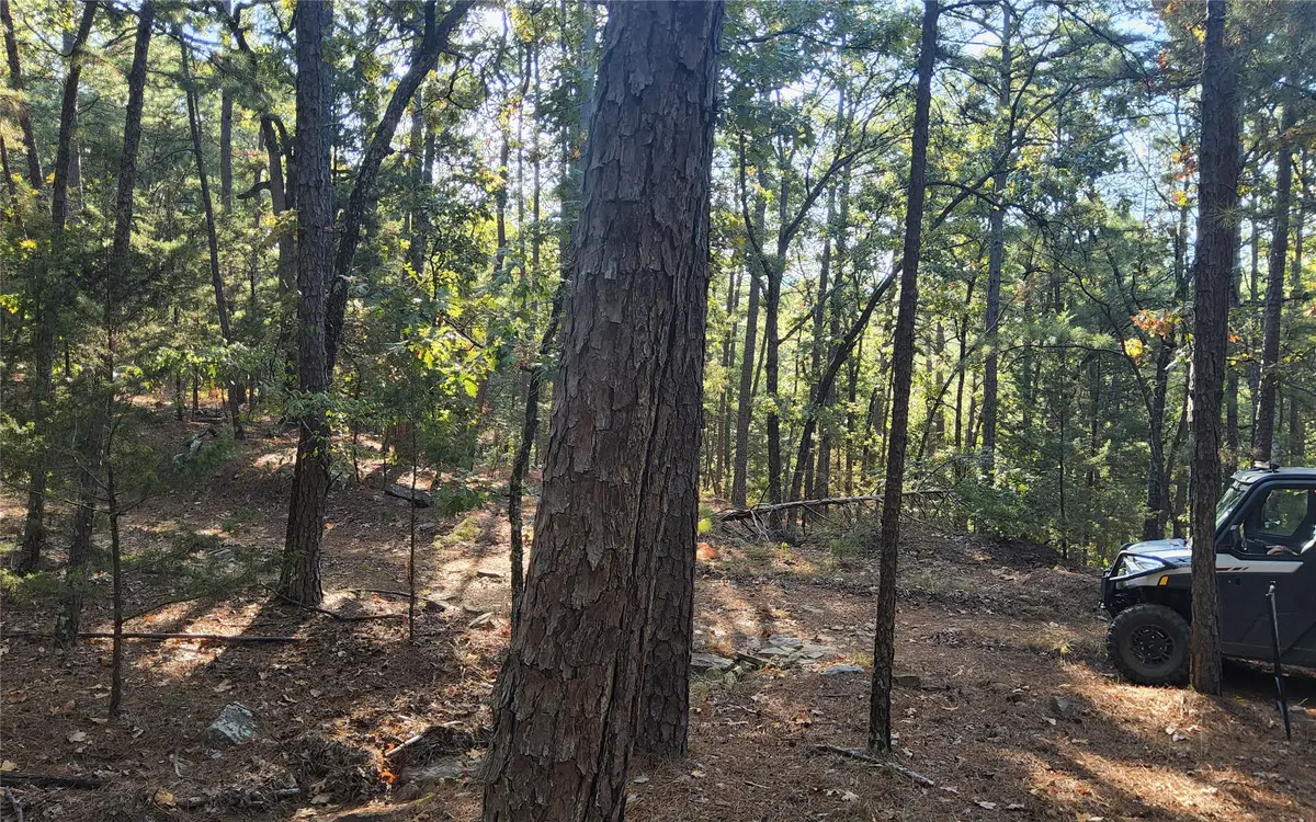 Kimbrough Creek Road, Moyers, OK 74557 - #1