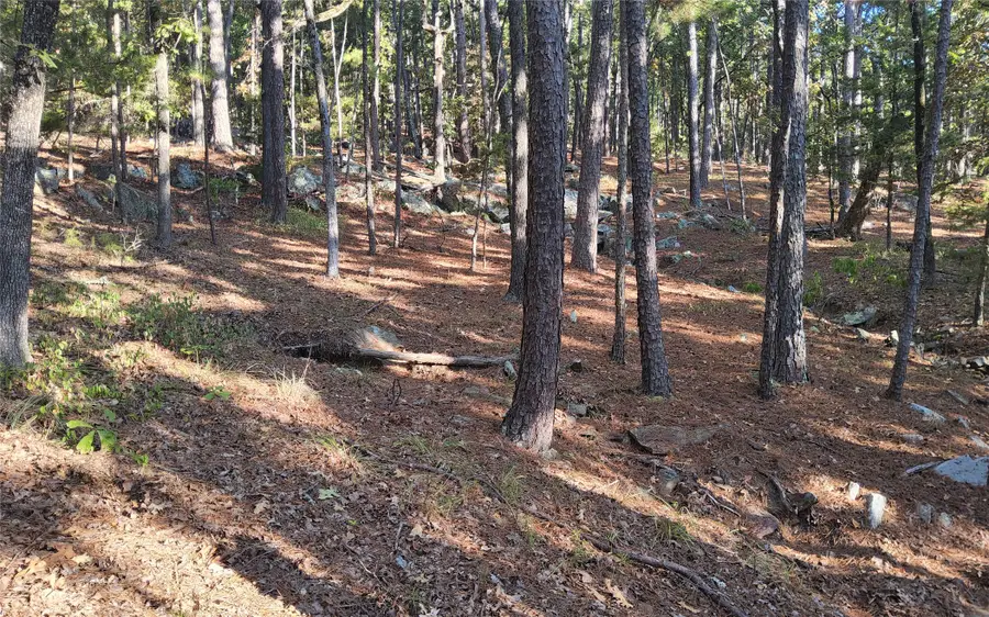 Kimbrough Creek Road, Moyers, OK 74557 - #3