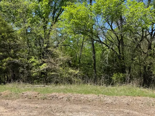 0 Chisholm, Burneyville, OK 73430