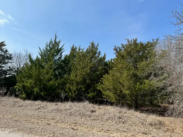 Bonnell Road, Burneyville, OK 73430