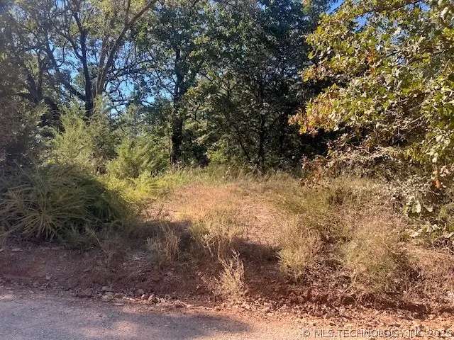 Half Bank Road, Atoka, OK 74525 - #1