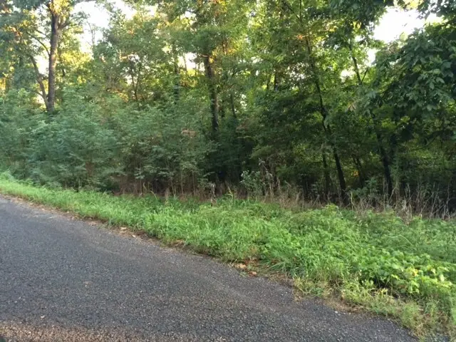 Sugar Mountain Circle, Park Hill, OK 74451 - #2