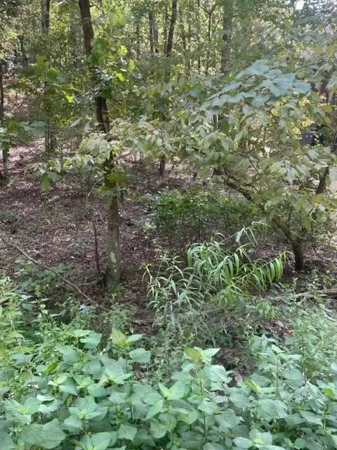 #2