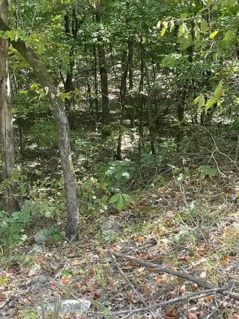 #3
