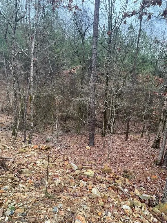 #3