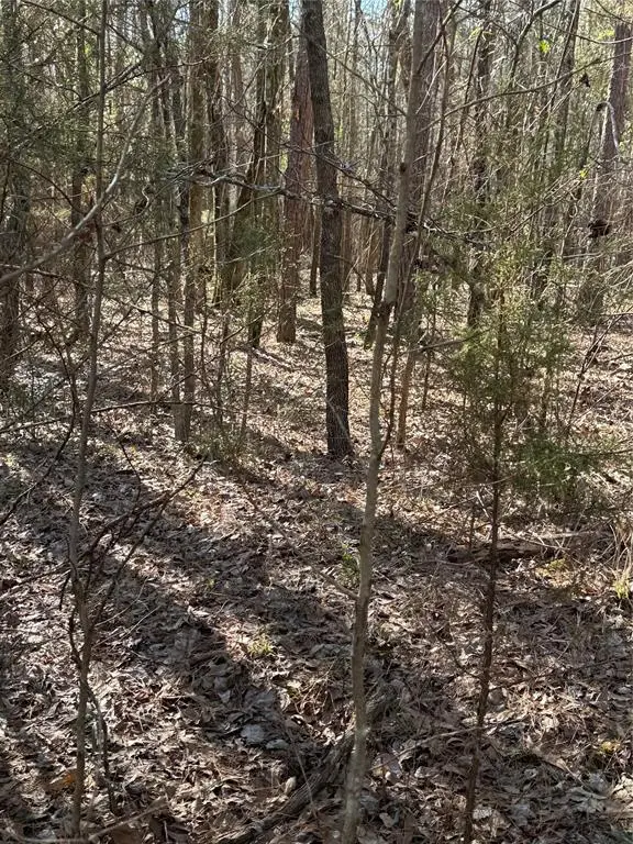 #2