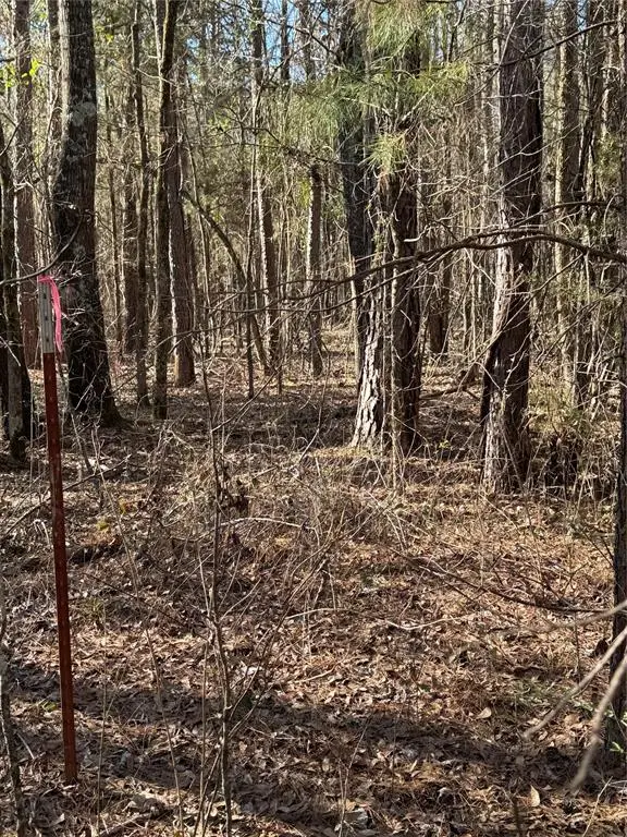 #3