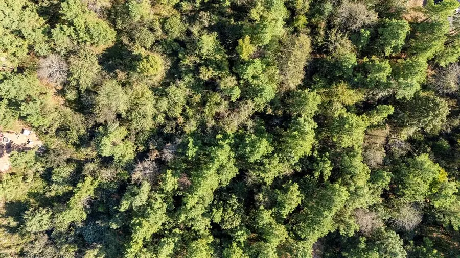 38 Oakley Trail, Broken Bow, OK 74728 - Image #2