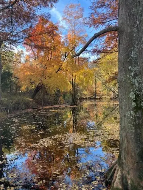 18792 W State Highway 3 Highway, Idabel, OK 74745 - #3