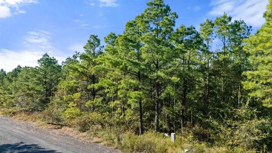 561 Timberline Trail, Broken Bow, OK 74728 - Image #3