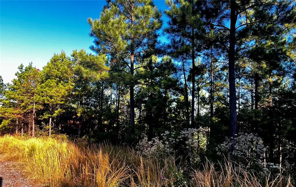 72 Wild Cherry Place, Broken Bow, OK 74728 - Image #1