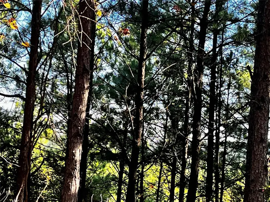 72 Wild Cherry Place, Broken Bow, OK 74728 - Image #3