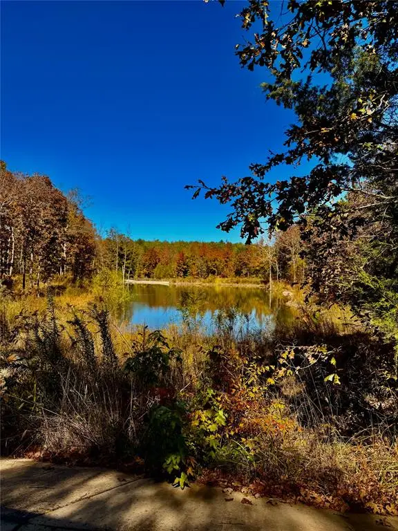 173 N Jones Ranch Road, Broken Bow, OK 74728 - Image #2