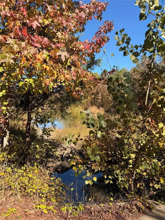 173 N Jones Ranch Road, Broken Bow, OK 74728 - Image #3