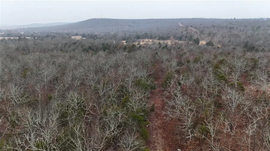 2 Berry Patch Road, Eufaula, OK 74432 - Image #2