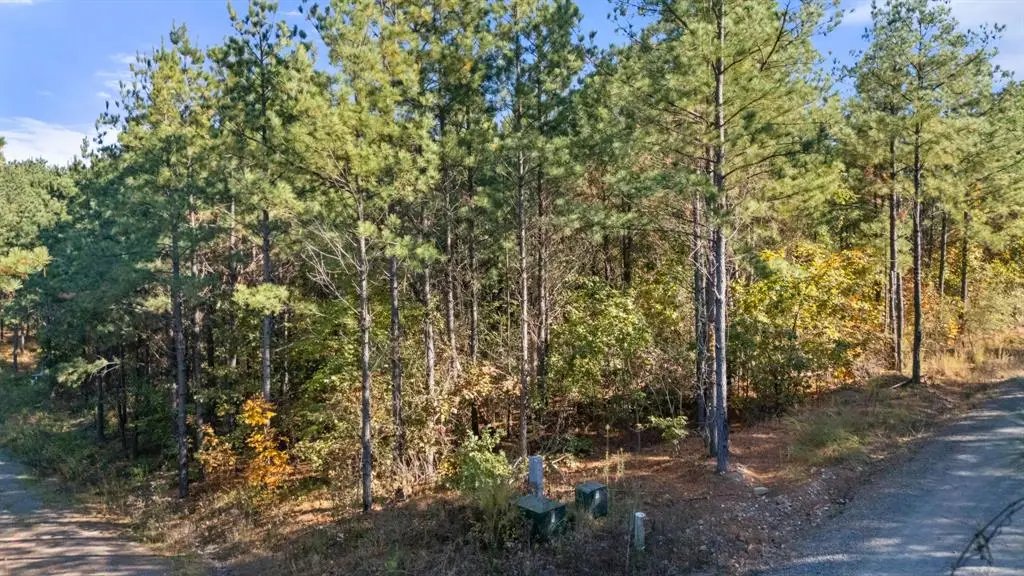 24 Cedar Tree Trail, Broken Bow, OK 74728 - Image #1