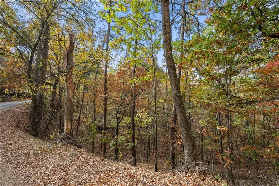 19 Southern Hills Circle, Broken Bow, OK 74728 - Image #2