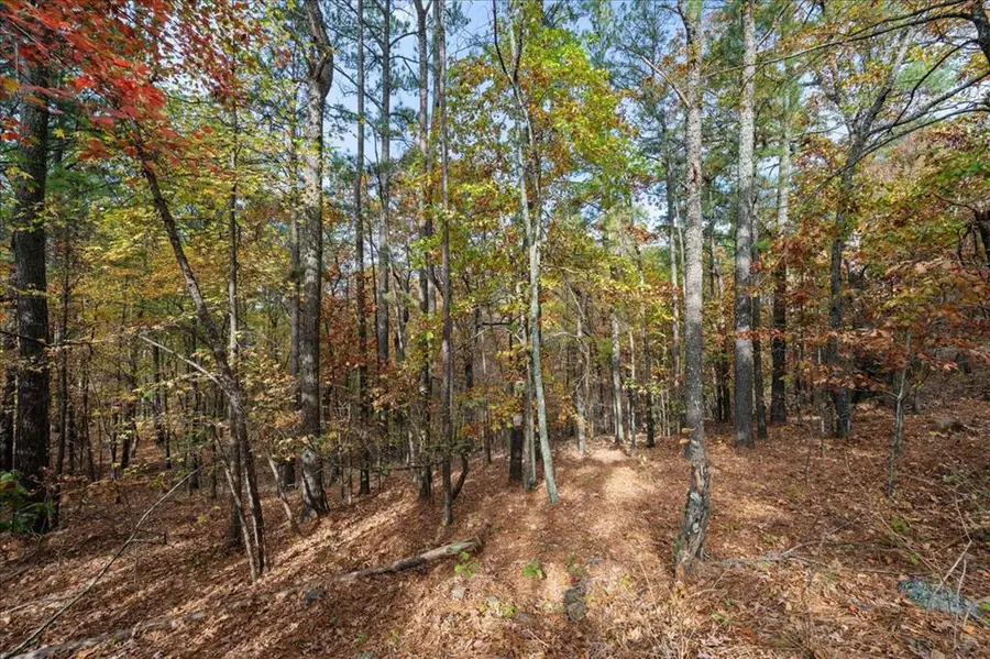 19 Southern Hills Circle, Broken Bow, OK 74728 - Image #3