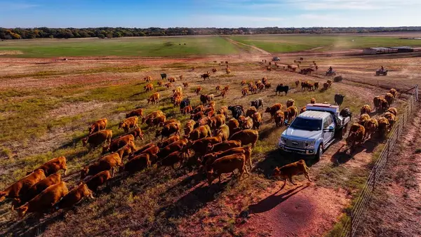 180000 N 2600 Road, Walters, OK 73572