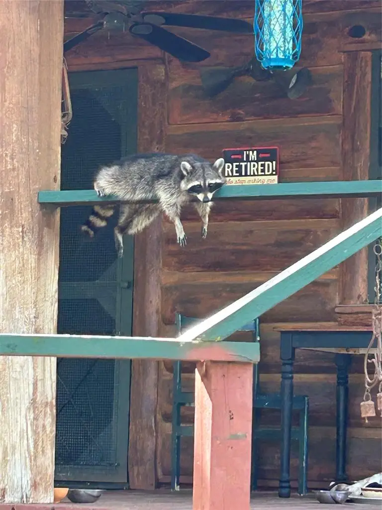 435562 E 1630th Road, Tuskahoma, OK 74574 - Image #2