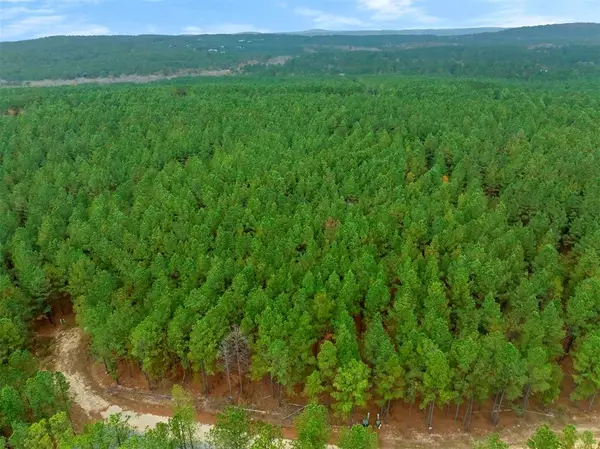 295 Hochapine Trail, Broken Bow, OK 74728