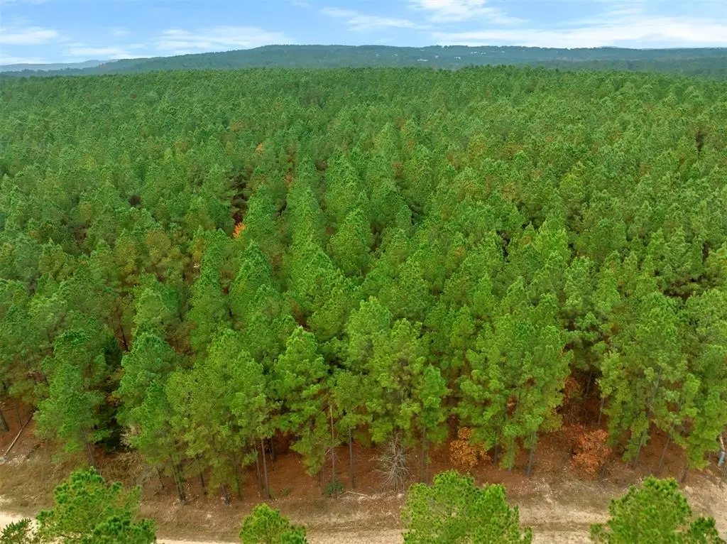 17 Hochacedar Trail, Broken Bow, OK 74728 - Image #1