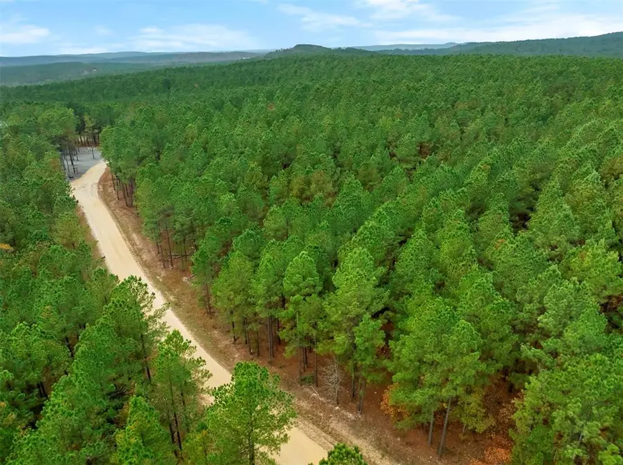 17 Hochacedar Trail, Broken Bow, OK 74728 - Image #2