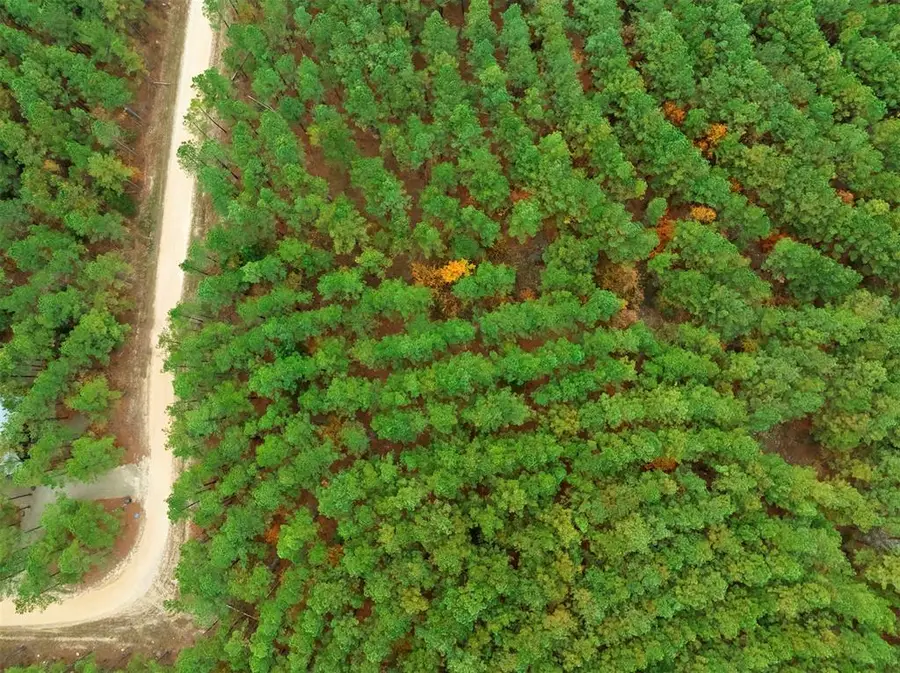 17 Hochacedar Trail, Broken Bow, OK 74728 - Image #3