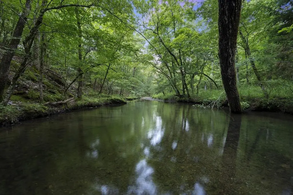 493 Timber Creek Trail, Broken Bow, OK 74728 - Image #1