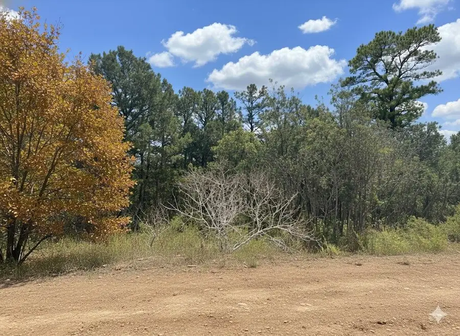 0 SW 234th Road, Tuskahoma, OK 74574 - Image #2