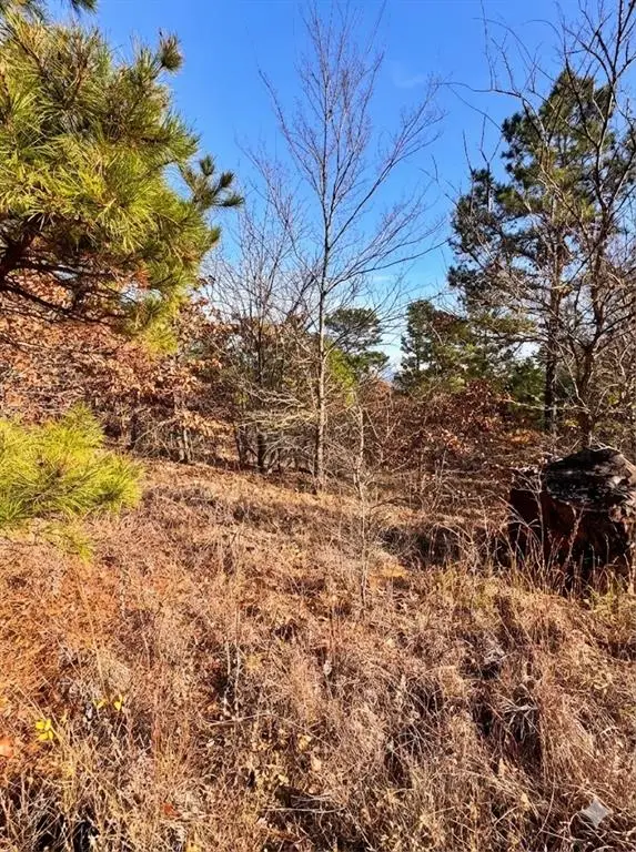 2388 SW 234th Road, Tuskahoma, OK 74574 - Image #3