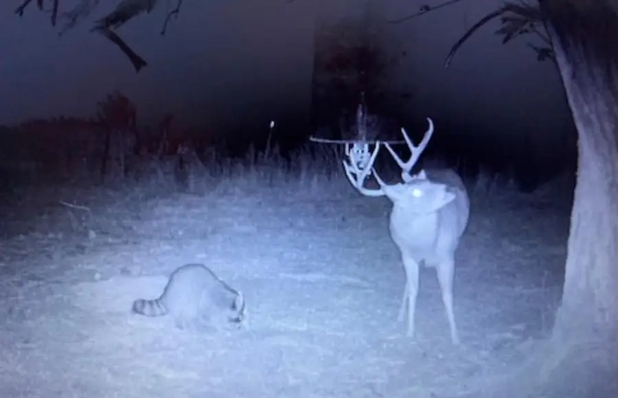 17257 E 800 Road, Crawford, OK 73642 - Image #3