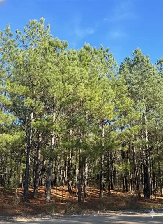 4 Sugarberry Trail, Broken Bow, OK 74728 - Image #1