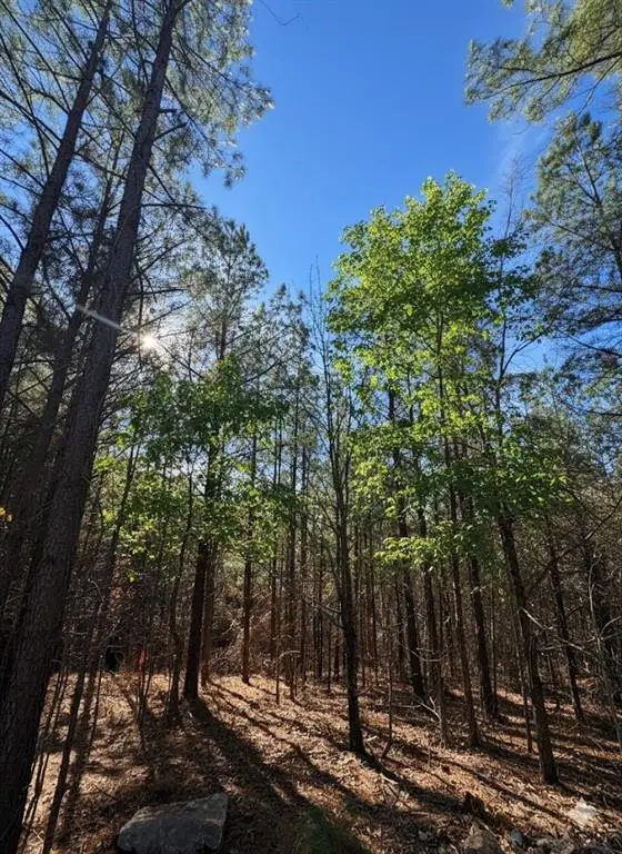 8 Sugarberry Trail, Broken Bow, OK 74728 - Image #3