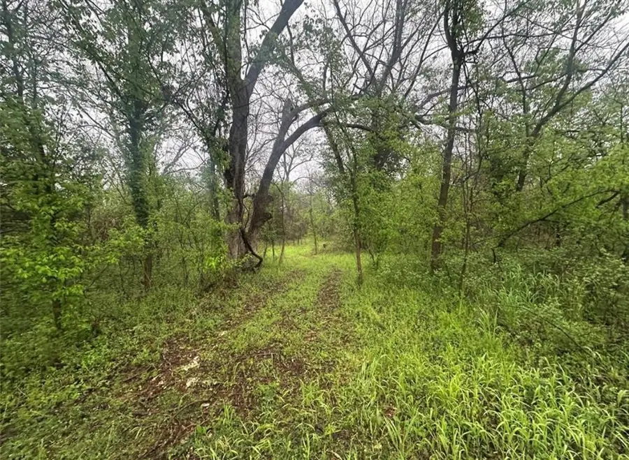 00 Okay N 40 Acres Road, Tecumseh, OK 74873 - Image #3