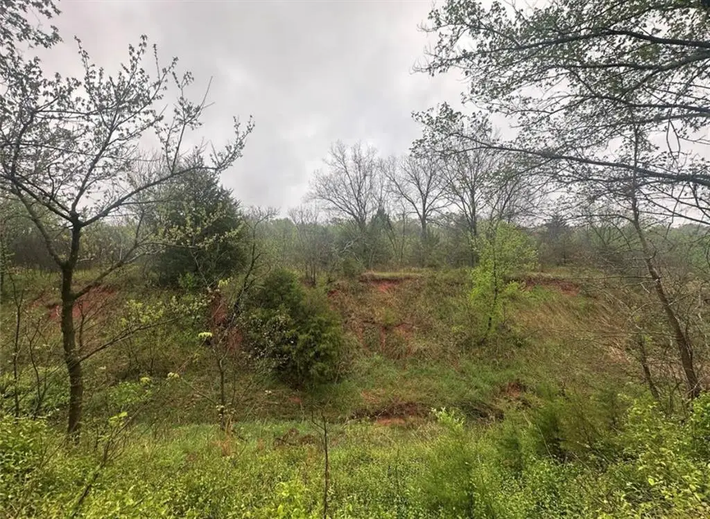 00 Okay S 40 Acres Road, Tecumseh, OK 74873 - Image #1