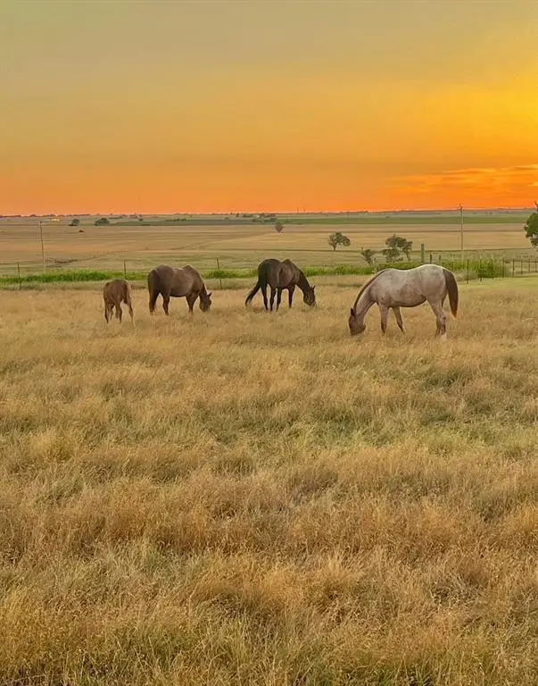 03 E County Road, Blair, OK 73526 - Image #1